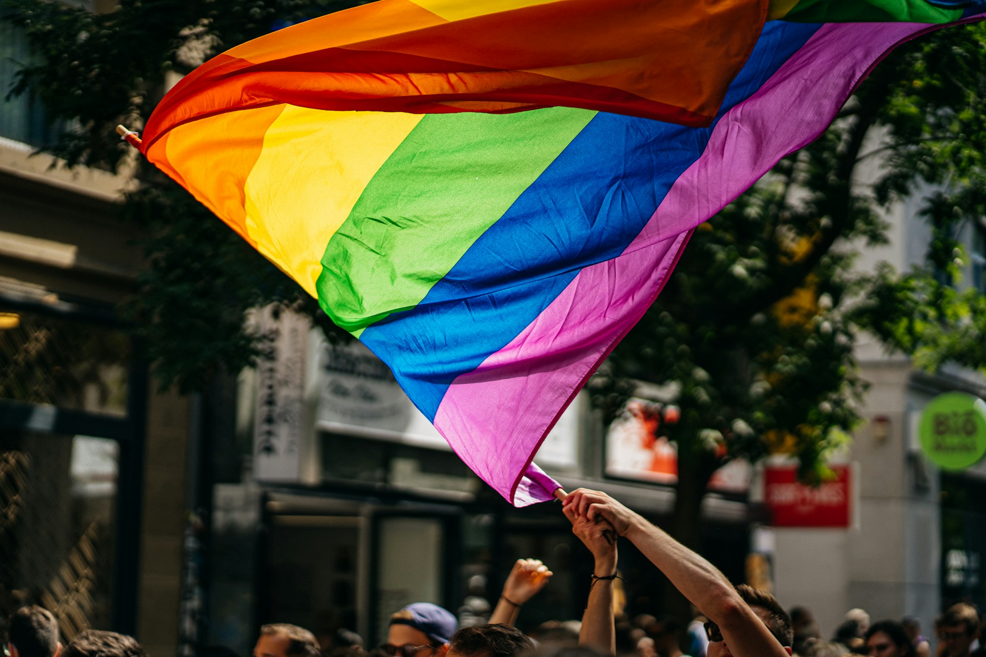 Raphael renter raphi rawr wuxdtGMNYaU unsplash